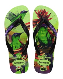 Havaianas Women's Flip-Flops IPE Hummingbird  Flip flops