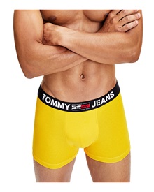 Tommy Hilfiger Ανδρικό Boxer Recycled Logo Waistband Trunk  Boxerακια