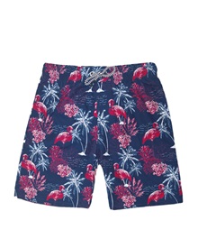 Sun Project Kids Swimwear Boy Shorts Flamingo  Boys Swimwear