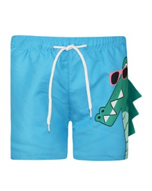 Energiers Kids Swimwear Shorts Boy Dinosaur  Boys Swimwear